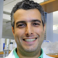 Kaveh Shoorideh, PhD