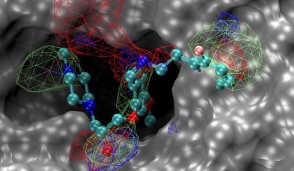 Researchers identify promising new compounds to potentially treat novel coronaviruses