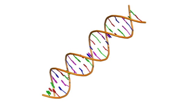 Mutations in overlooked DNA could have profound impact on survival for bowel cancer patients